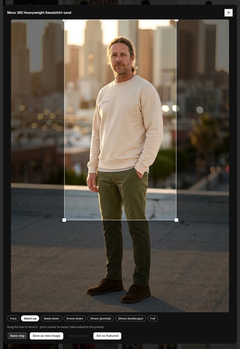 The crop view with preset chips and a draggable crop box over a rooftop photoshoot